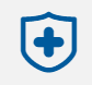 Healthcare Icon
